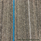 Αλεξίπυρα μετακινούμενα κεραμίδια 60X60CM ταπήτων γραφείων νάυλον μορφωματικά
